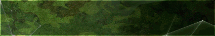 ZEVhorizontal.gif