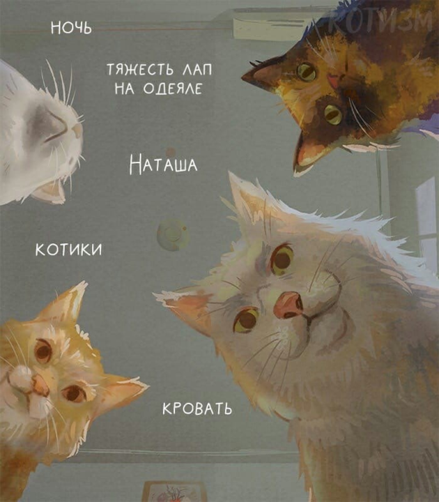 71470122_.png.f88d682d73af7bbd56a4013bf5c41698.png